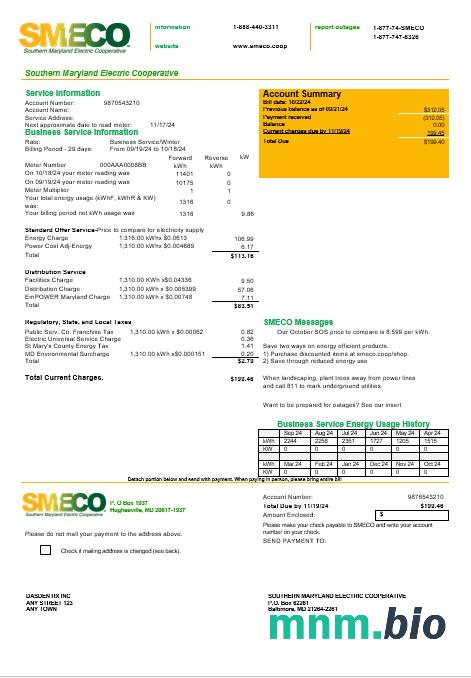 Szablon rachunku za media Biznesowe w USA Maryland SMECO w formatach Word i PDF